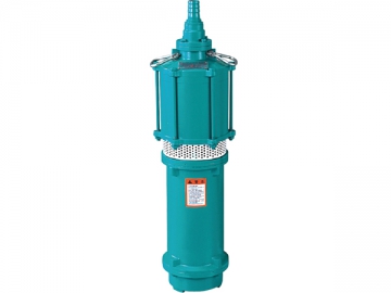 Multistage Submersible Pumps for Clean Water