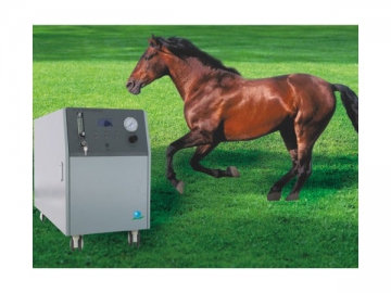 Veterinary Oxygen Concentrator