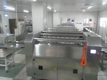 Automatic Packaging System <small>(Biscuit, Cookie, Cracker Packaging Machine)</small>