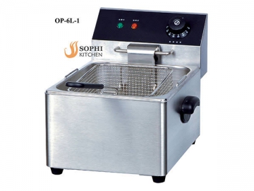 Electric Fryer