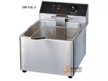 Electric Fryer