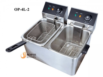 Electric Fryer