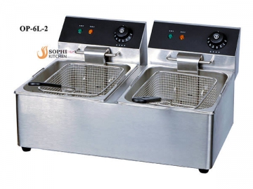 Electric Fryer