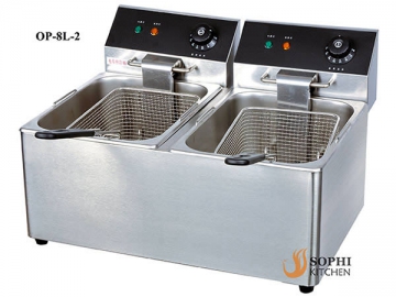 Electric Fryer