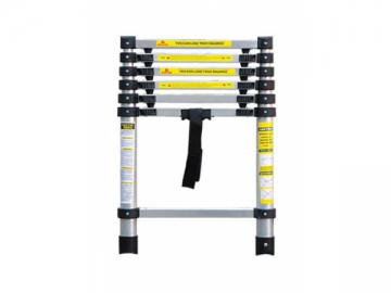 Telescopic Ladder