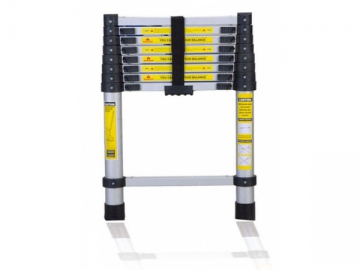 Telescopic Ladder