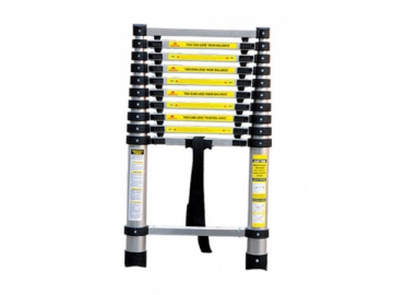 Telescopic Ladder