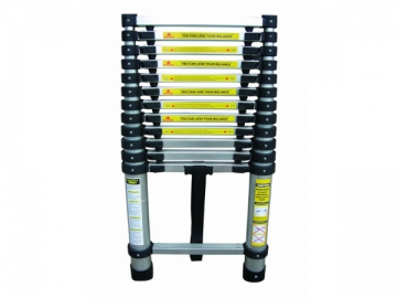 Telescopic Ladder