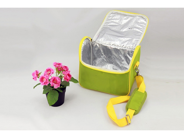 soft sided insulated lunch bag