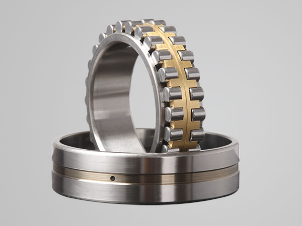 Double Row Cylindrical Roller Bearing Manufacturer 