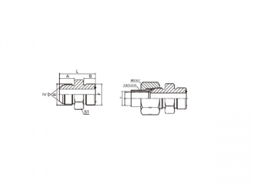 74 Degree Flare Adapter, American Standard