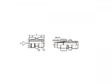 74 Degree Flare Adapter, American Standard