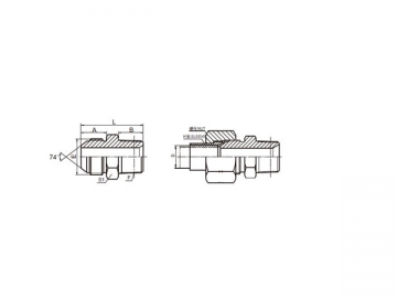 74 Degree Flare Adapter, American Standard