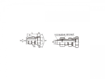 74 Degree Flare Adapter, American Standard