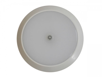 LED Dome Light