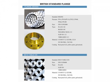 British Standard Flange