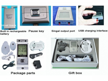 Electronic Pulse Massager