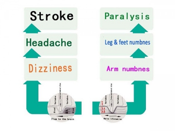 Electronic Pulse Massager