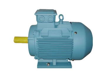 High Efficiency Three-phase Induction Motor