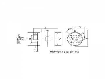 High Efficiency Three-phase Induction Motor