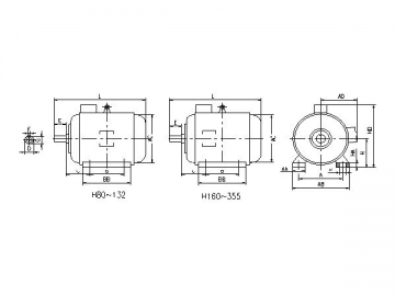 High Efficiency Three-phase Induction Motor