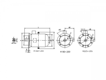 High Efficiency Three-phase Induction Motor