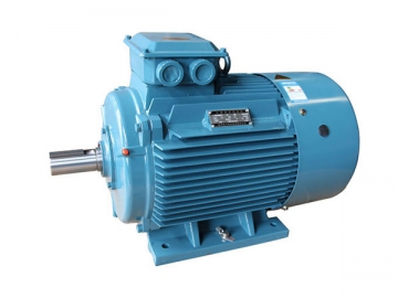 Three-Phase Induction Motor, YE2 Series