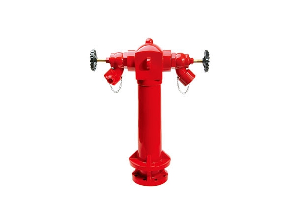 2-way-wet-barrel-fire-hydrant-manufacturer-cloud-computing-at-etw