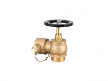 Landing Valve