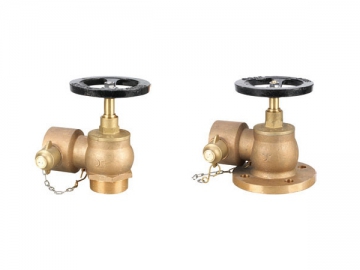 Landing Valve