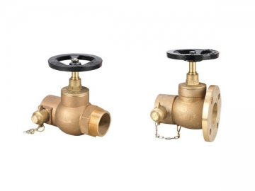 Landing Valve