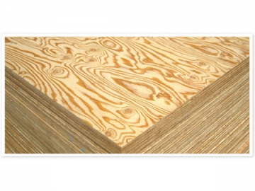 Larch Plywood