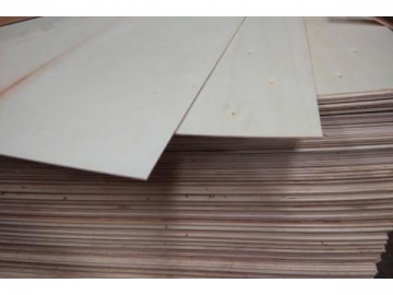 Poplar Plywood