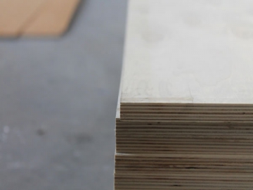 Birch Plywood