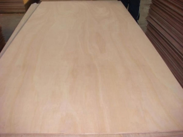 Okoume Plywood