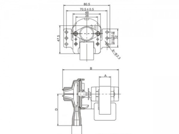 AC Water Pump