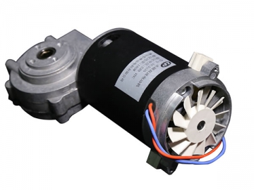 DC Motor