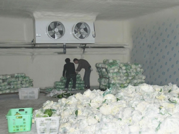 Vegetable Cold Storage