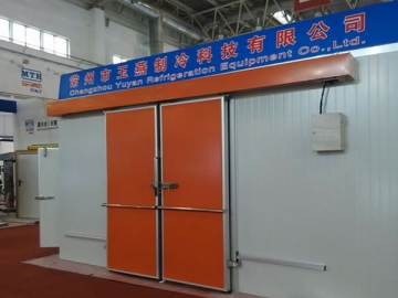 Electric Sliding Door