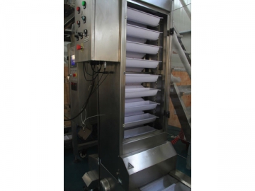 VFFS Packaging System