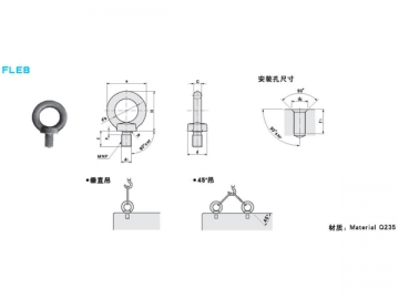 Lifting Eye Bolt, FLEB