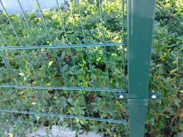 Twin Wire Mesh Fence