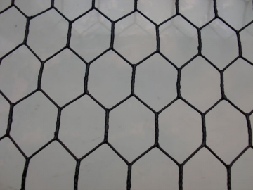 Hexagonal Wire Mesh