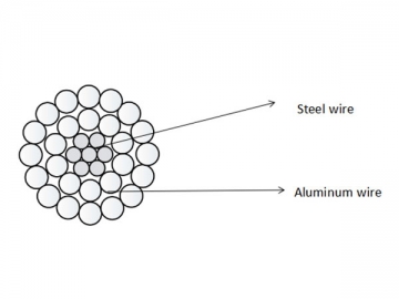 Aluminum Conductor Steel Reinforced (ACSR)