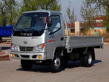 1T Light Duty Truck