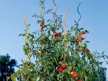 Tomato Support Spiral Wire