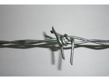 Barbed Wire