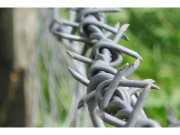 Barbed Wire