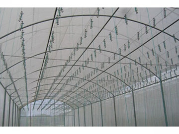 Trellis System