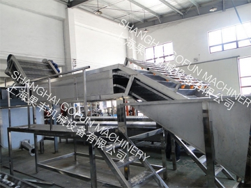 Fruit and Vegetable Sorting Machine